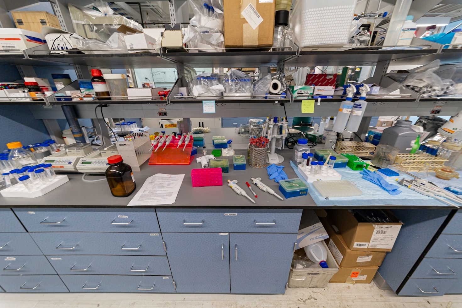 Técnicas modernas para identificação de remanescentes