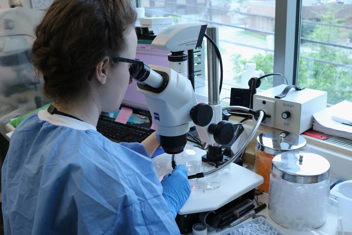 A importância da produção científica universitária